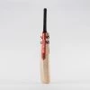 GRAY-NICOLLS Gray Nicolls Academy Junior Cricket Bat