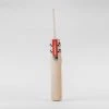 GRAY-NICOLLS Gray Nicolls Alpha 1.0 200 Cricket Bat