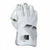 Gunn & Moore 606 Wicket Keeping Gloves
