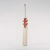 GRAY-NICOLLS Gray Nicolls Alpha Warrior Kashmir Cricket Bat