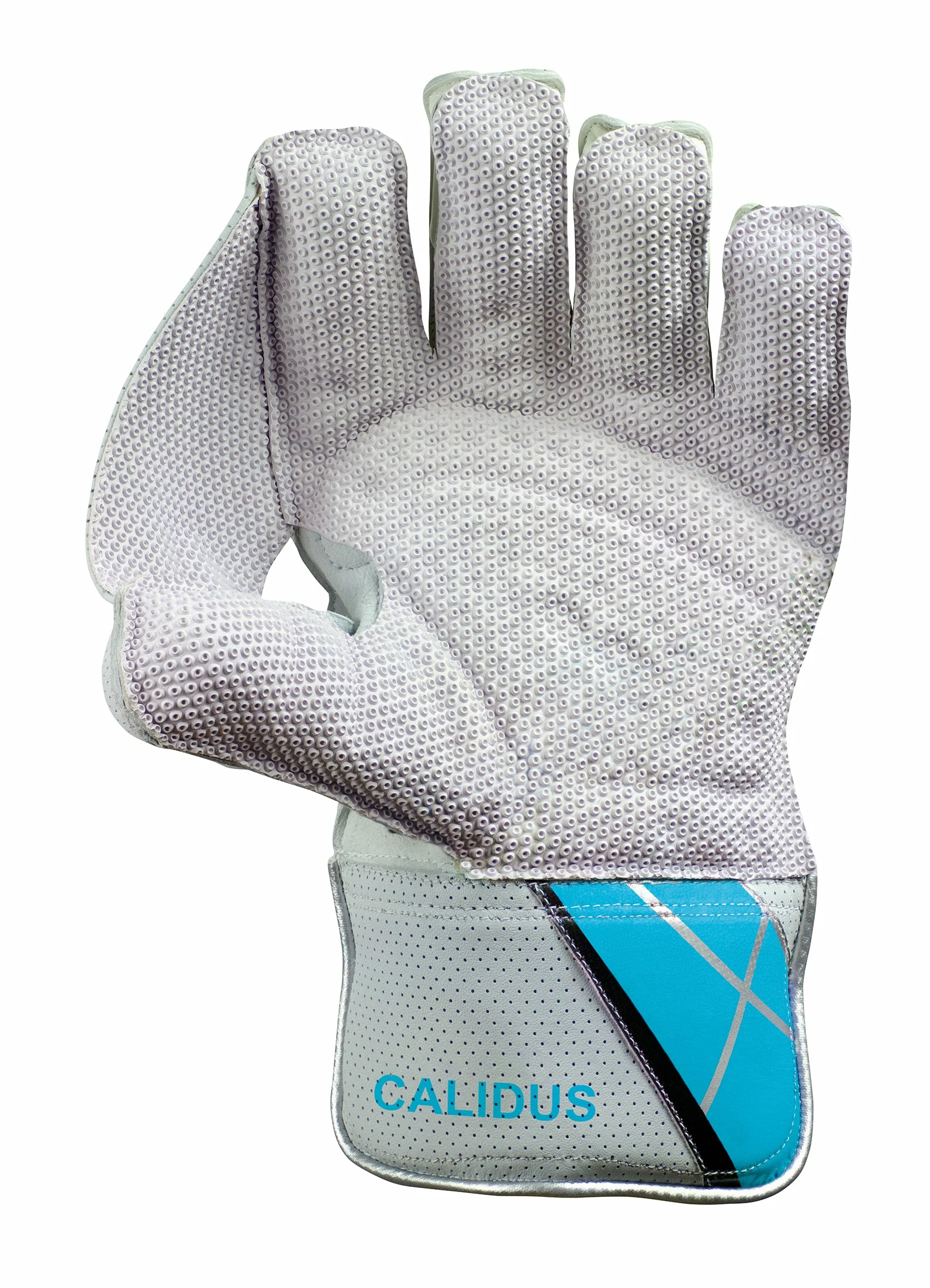 Hunts County Calidus Wicket Keeping Gloves 2 Hunts County Calidus Wicket Keeping Gloves - Image 2